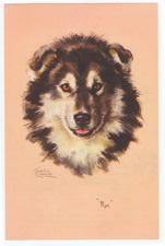 Vintage calendar/poster prints of dogs